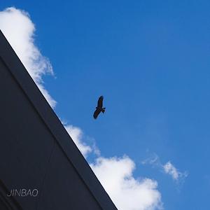 国产精选中文字幕
