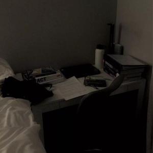 国产精选中文字幕
